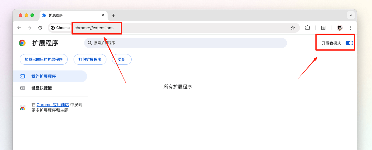 开发者模式